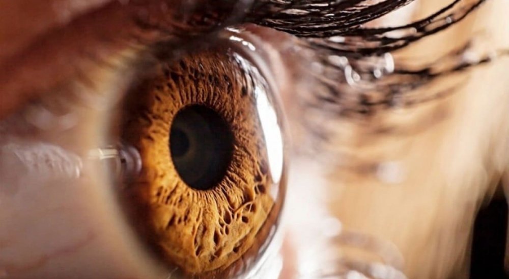 Почему важно защищать глаза от УФ-лучей?